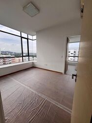 The Trizon (D10), Condominium #473971951